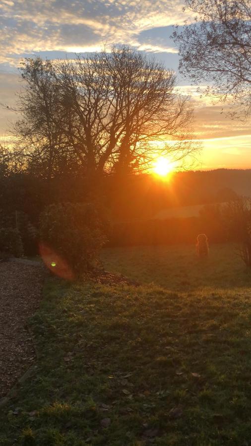 Meadowside Cottage, Characterful Grade 2 Listed Cottage Near To Wadebridge And Padstow 外观 照片