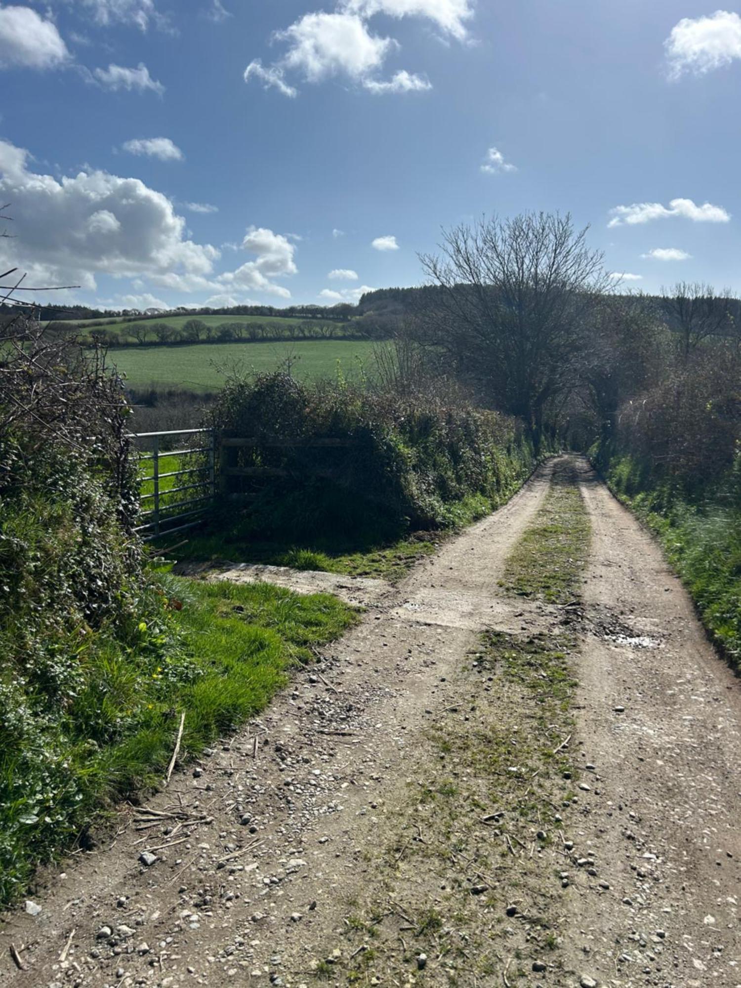 Meadowside Cottage, Characterful Grade 2 Listed Cottage Near To Wadebridge And Padstow 外观 照片